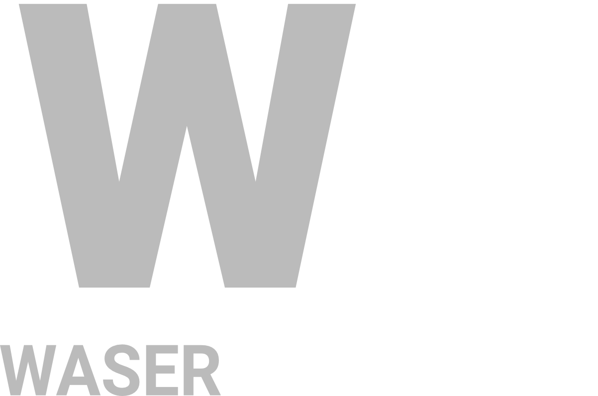 Logo-ws-1